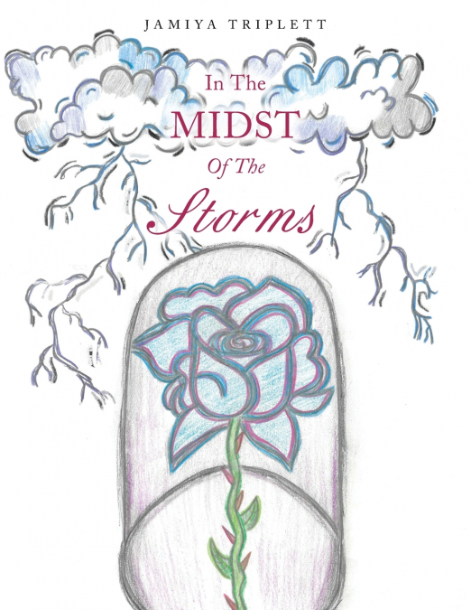 In The Midst Of The Storms