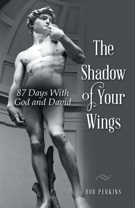 The Shadow of Your Wings