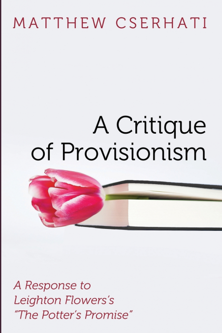 A Critique of Provisionism