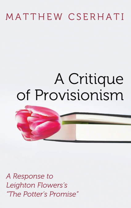 A Critique of Provisionism