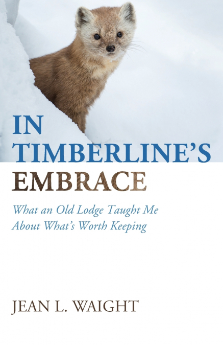 In Timberline’s Embrace