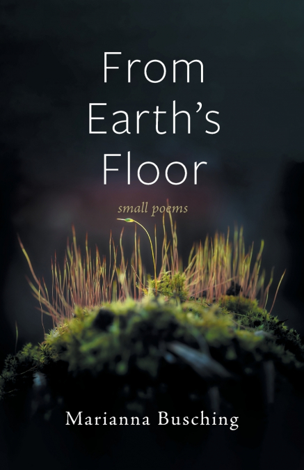 From Earth’s Floor