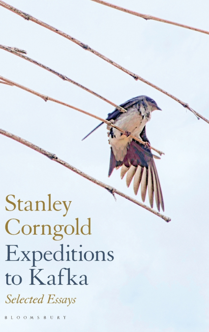 Expeditions to Kafka