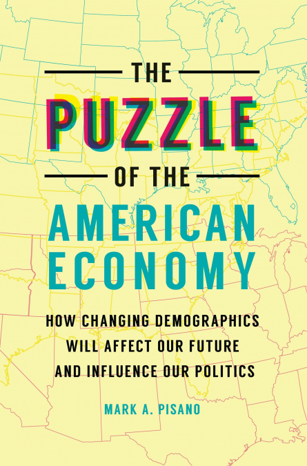 The Puzzle of the American Economy