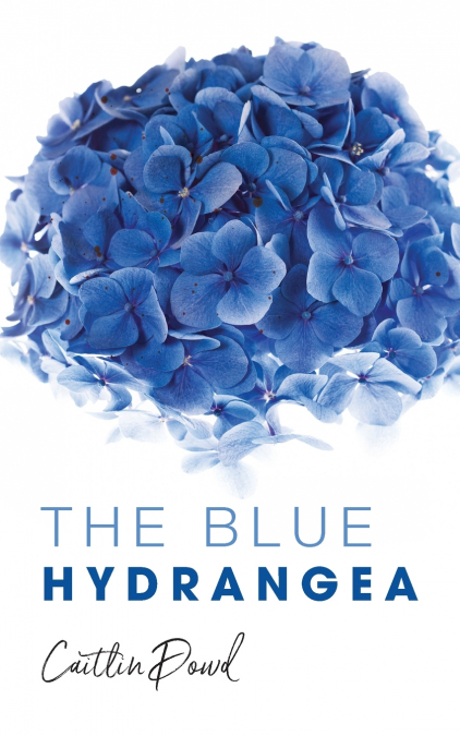 The Blue Hydrangea