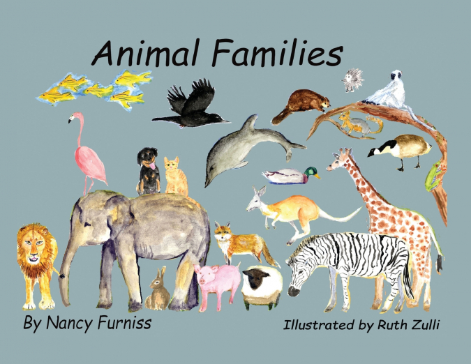Animal Families