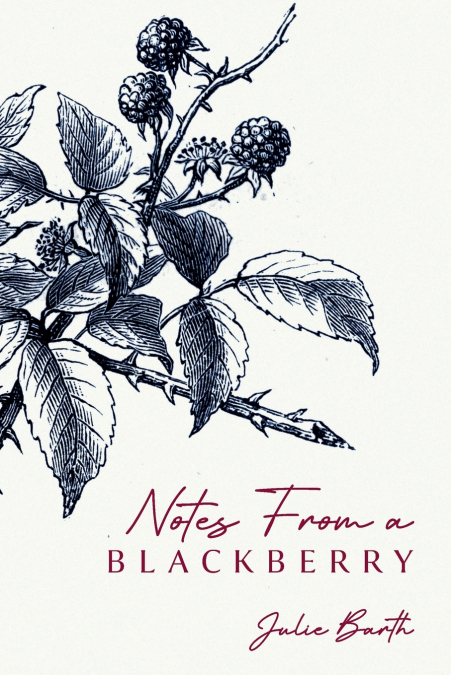 Notes From A BlackBerry
