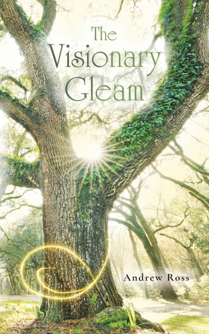 The Visionary Gleam