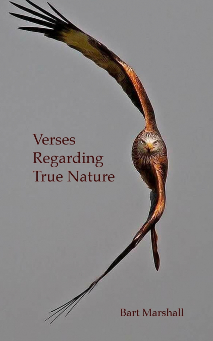 Verses Regarding True Nature