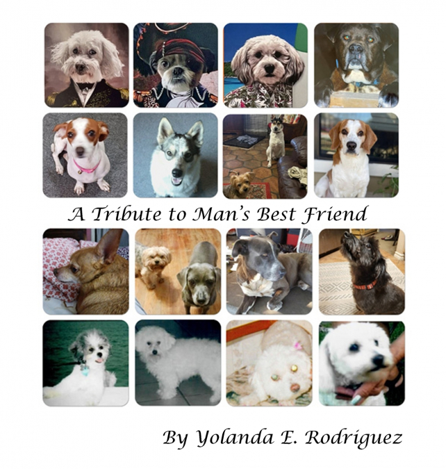A Tribute to Man’s Best Friend