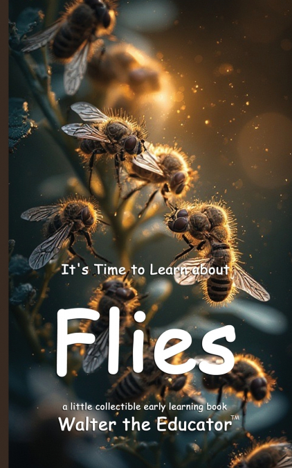 It’s Time to Learn about Flies
