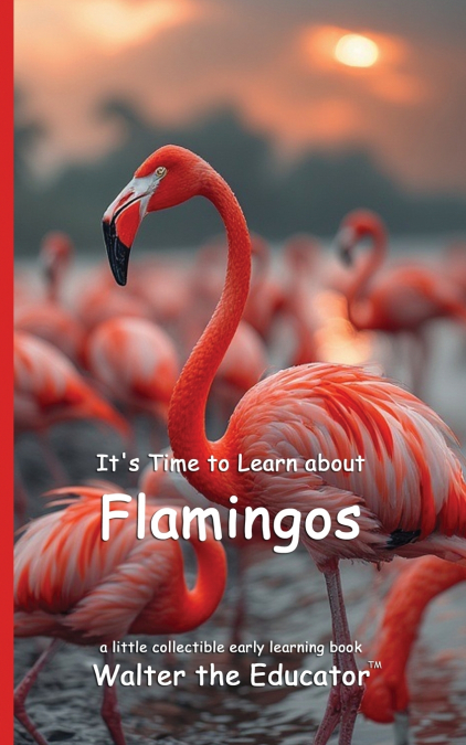 It’s Time to Learn about Flamingos