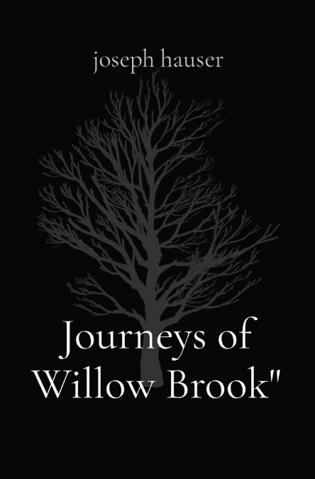 Journeys of Willow Brook'