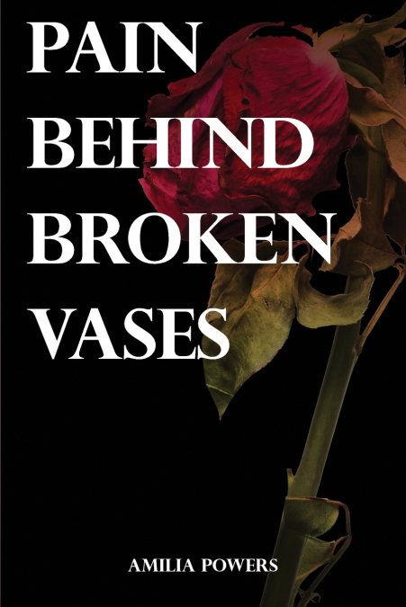 Pain Behind Broken Vases