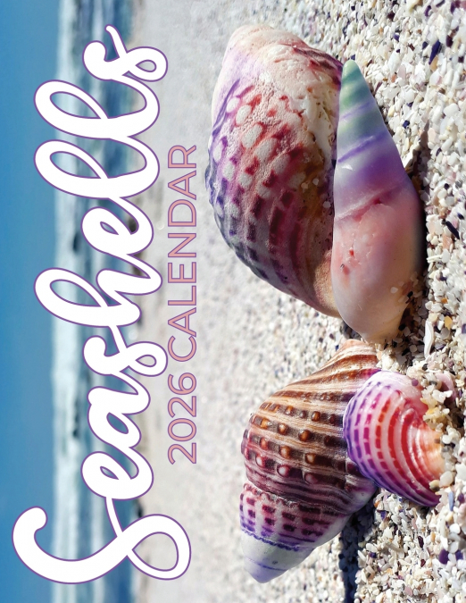 Seashells 2026 Calendar