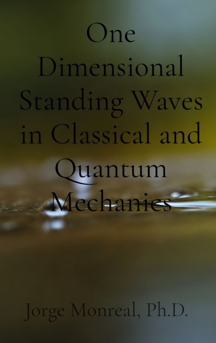 One Dimensional Standing Waves in Classical and Quantum Mechanics