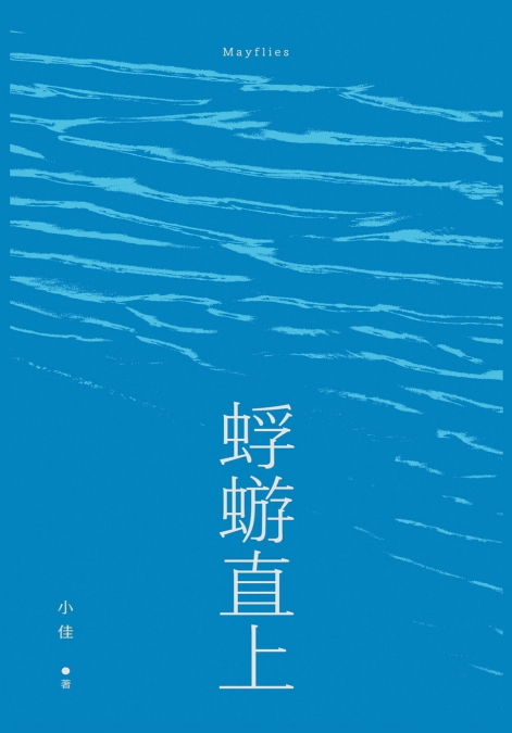 蜉蝣直上