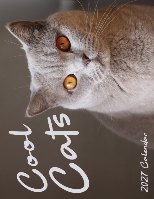Cool Cats 2027 Calendar