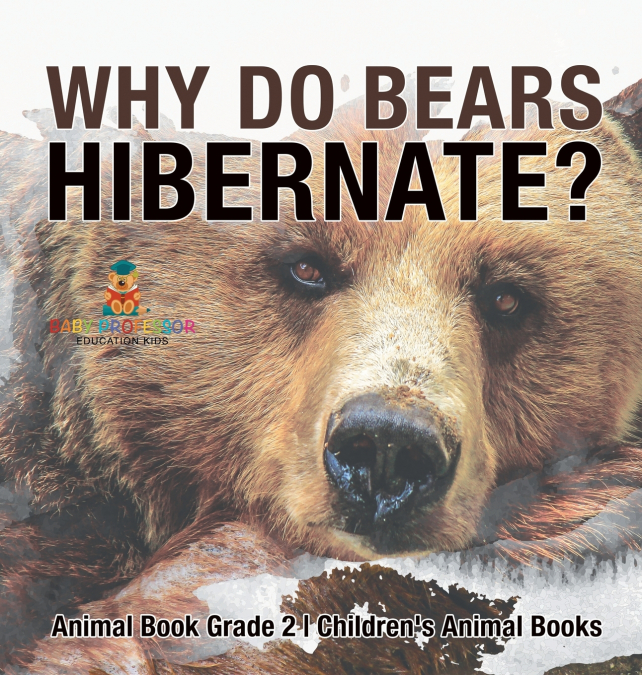 Why Do Bears Hibernate? Animal Book Grade 2 | Children’s Animal Books