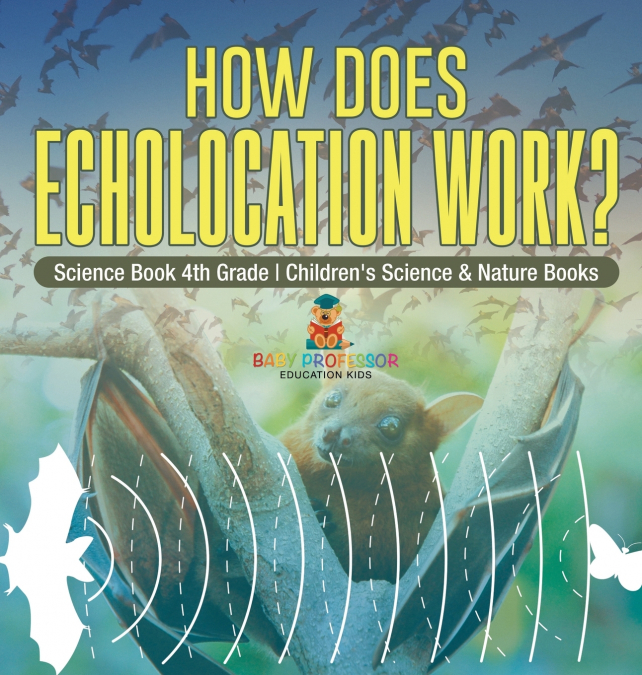 How Does Echolocation Work? Science Book 4th Grade | Children’s Science & Nature Books