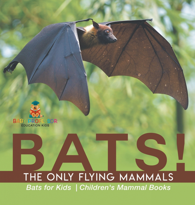 BATS! The Only Flying Mammals | Bats for Kids | Children’s Mammal Books