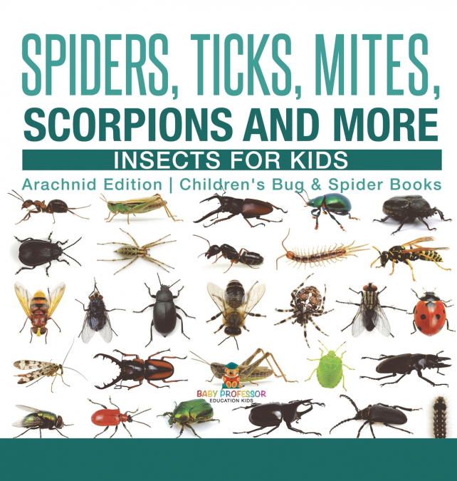 Spiders, Ticks, Mites, Scorpions and More | Insects for Kids - Arachnid Edition | Children’s Bug & Spider Books