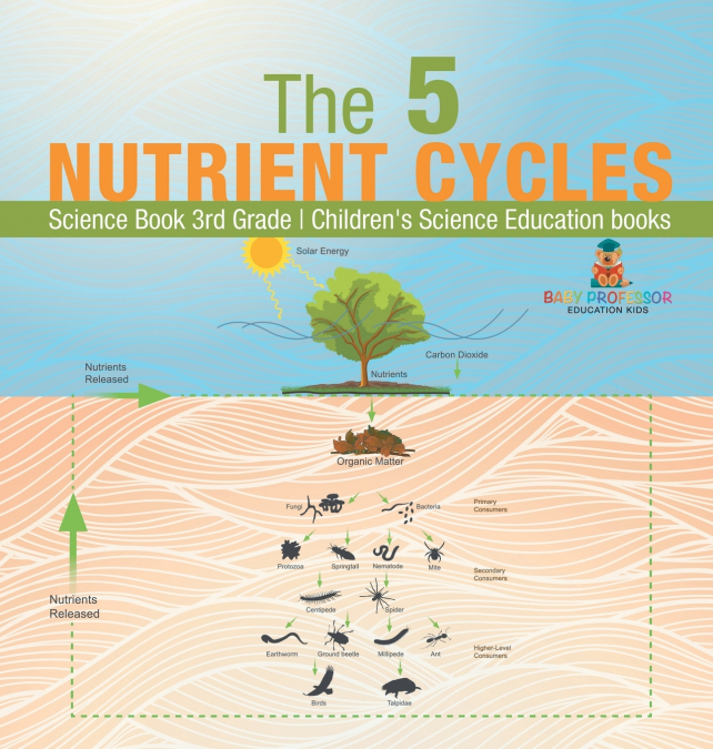 The 5 Nutrient Cycles - Science Book 3rd Grade | Children’s Science Education books