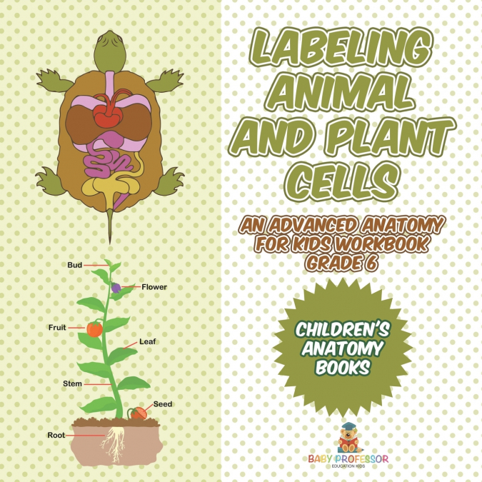 Labeling Animal and Plant Cells - An Advanced Anatomy for Kids Workbook Grade 6 | Children’s Anatomy Books
