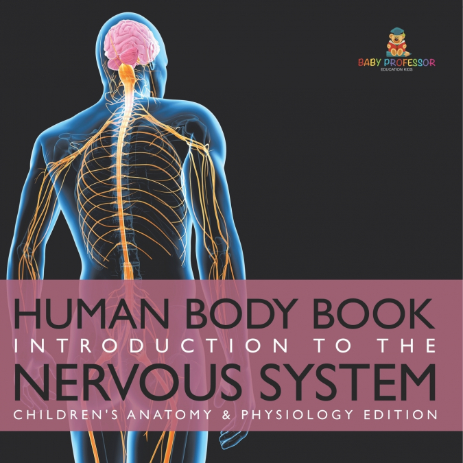 Human Body Book | Introduction to the Nervous System | Children’s Anatomy & Physiology Edition