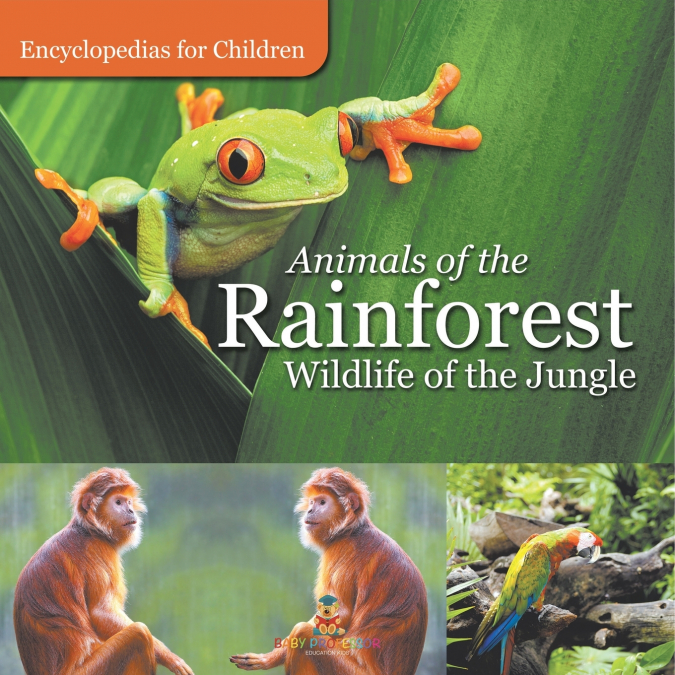 Animals of the Rainforest | Wildlife of the Jungle | Encyclopedias for Children