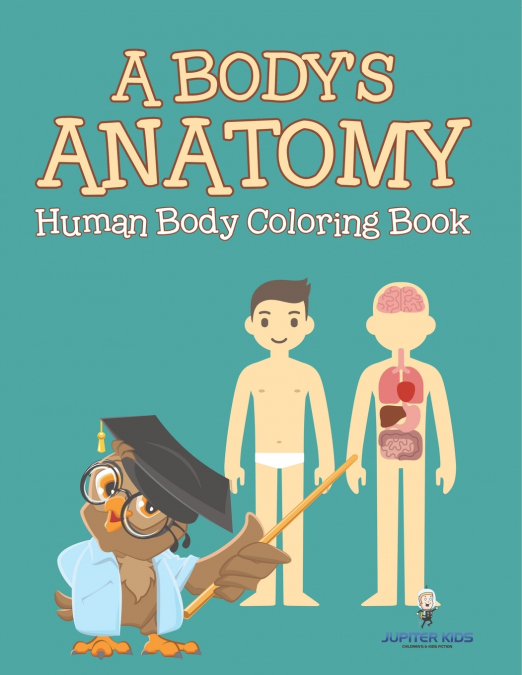 A Body’s Anatomy