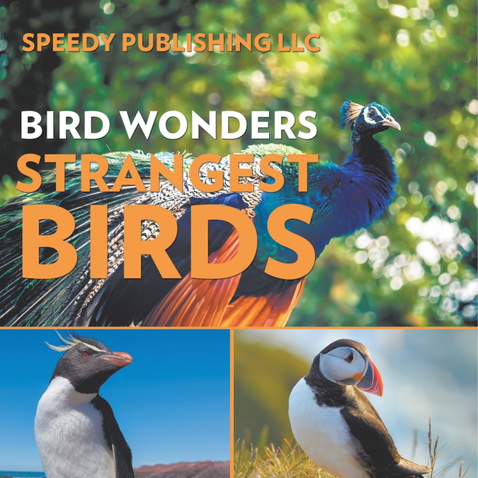 Bird Wonders - Strangest Birds
