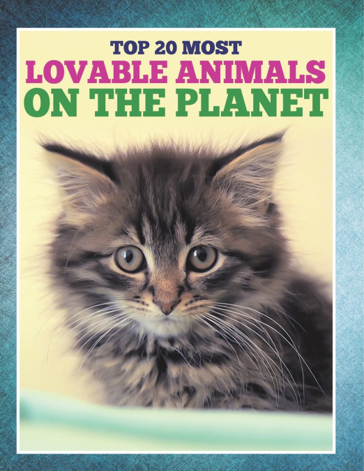 Top 20 Most Lovable Animals On The Planet