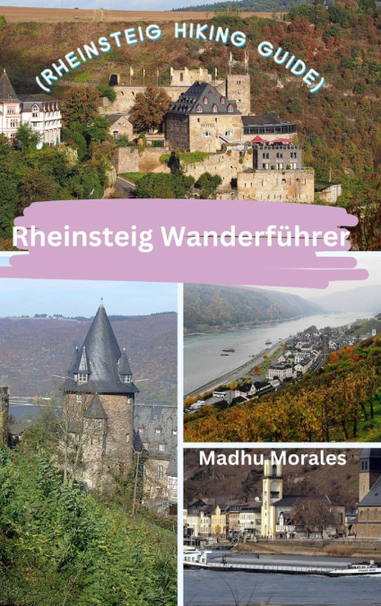 Rheinsteig Wanderführer (Rheinsteig Hiking Guide)