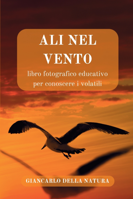 ALI nel VENTO