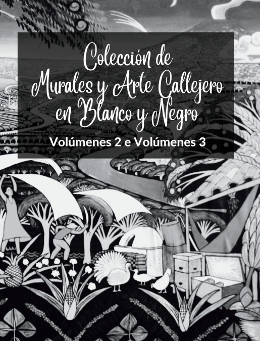 Colección de Murales y Arte Callejero en Blanco y Negro - Volúmenes 2 y 3