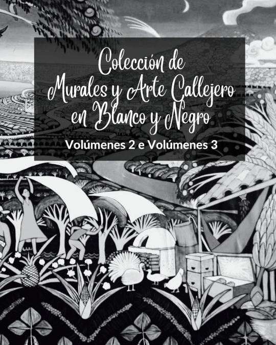 Colección de Murales y Arte Callejero en Blanco y Negro - Volúmenes 2 y 3