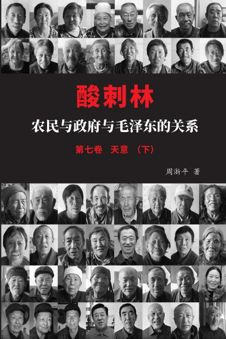 酸刺林：农民与政府与毛泽东的关系（天意）七卷下