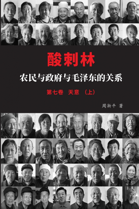 酸刺林：农民与政府与毛泽东的关系（天意）七卷上