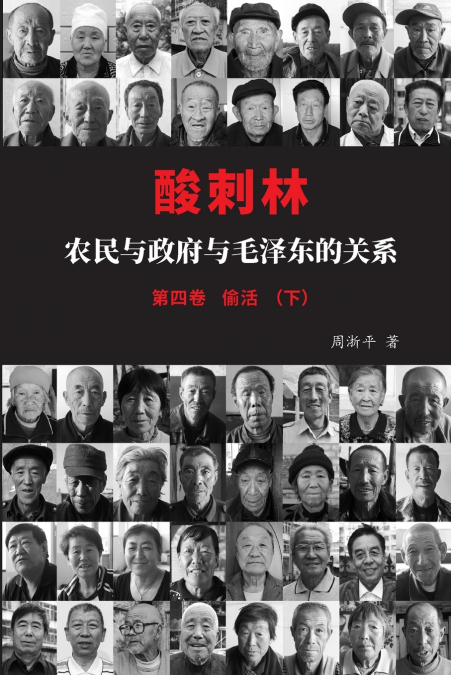 酸刺林：农民与政府与毛泽东的关系（偷活）四卷下