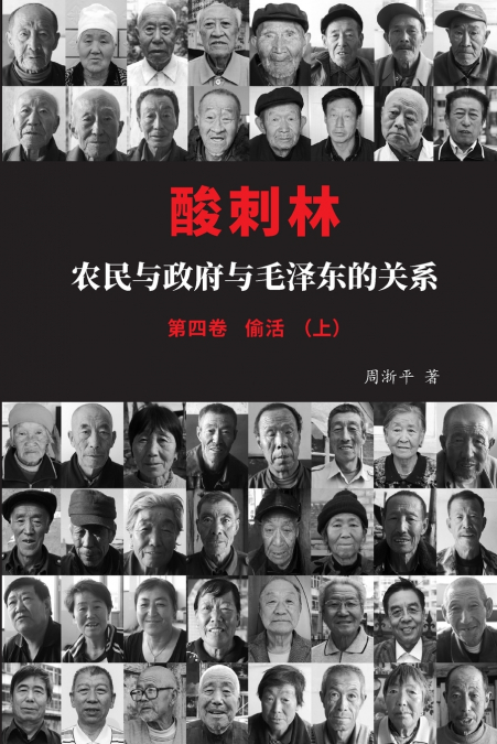 酸刺林：农民与政府与毛泽东的关系（偷活）四卷上