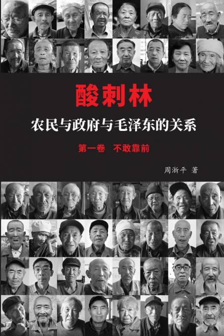 酸刺林：农民与政府与毛泽东的关系（不敢靠前）一卷