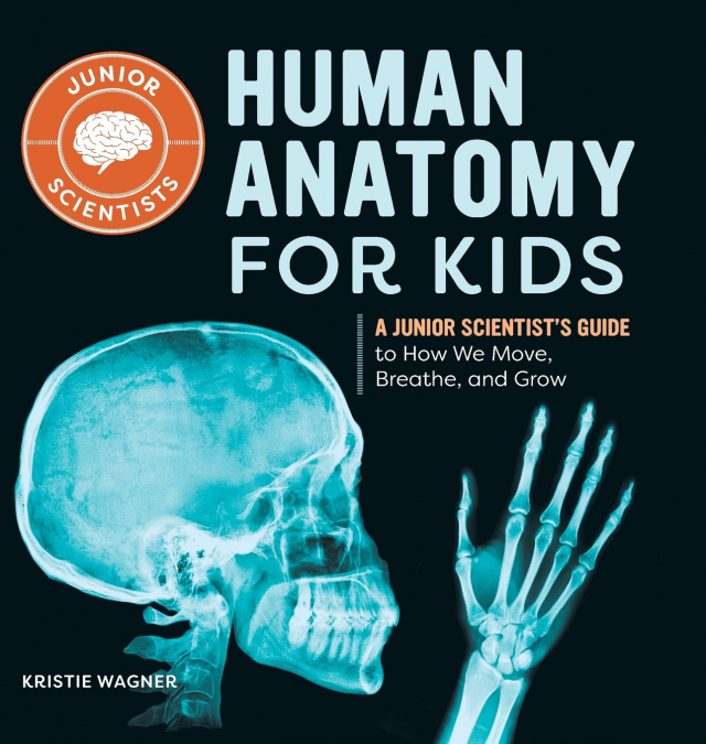Human Anatomy for Kids