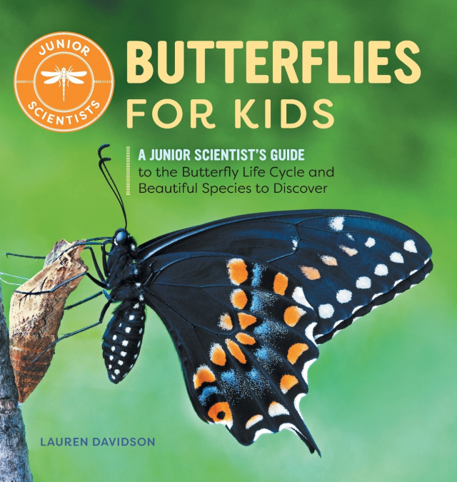Butterflies for Kids