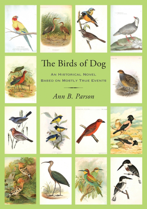 The Birds of Dog
