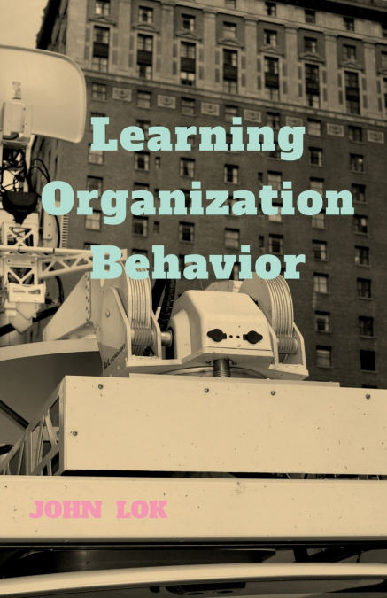 Learning Organization Behavior