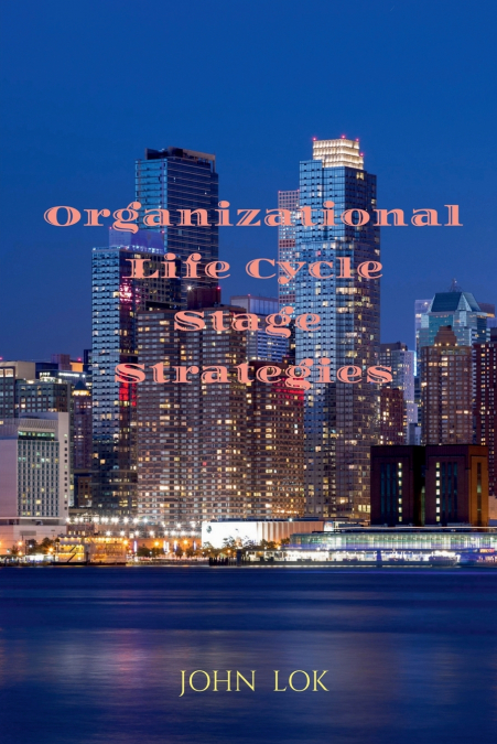 Organizational Life Cycle Stage Strategies