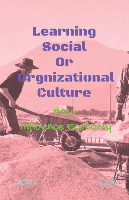 Learning Social Or Orgnizational Culture