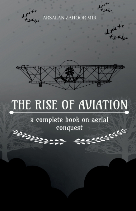 The Rise of Aviation