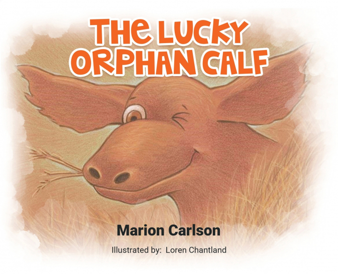 The Lucky Orphan Calf